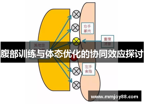 腹部训练与体态优化的协同效应探讨